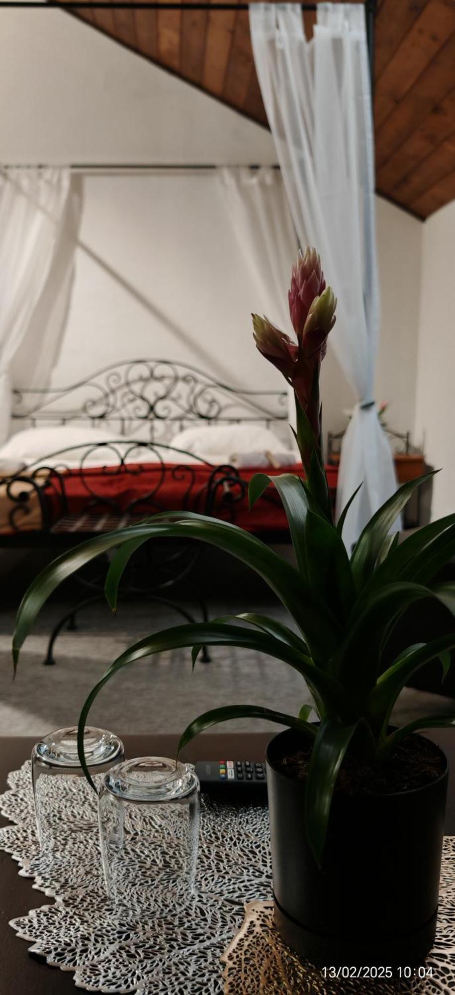 Hotel Plzensky Dvur Frýdek-Místek Eksteriør billede