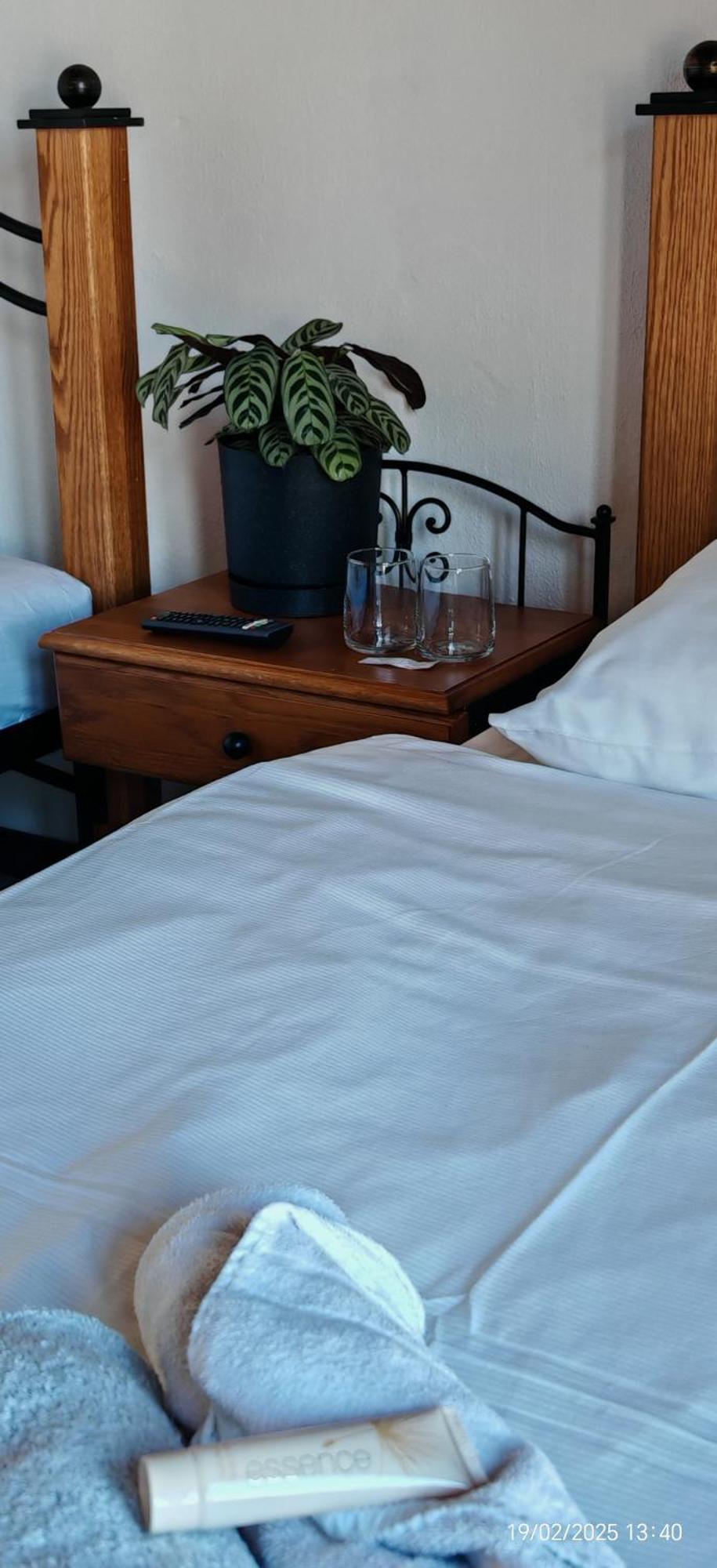 Hotel Plzensky Dvur Frýdek-Místek Eksteriør billede